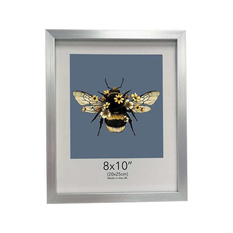 Bugg Frame - Silver - 6x8